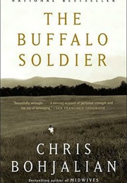 Buffalo Soldier (Chris Bohjalian)