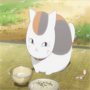 Cat, Madara (Nyanko-Sensei)
