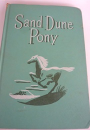 Sand Dune Pony (Troy Nesbit)