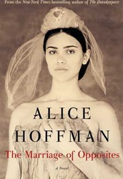 The Marriage of Opposites (Alice Hoffman)