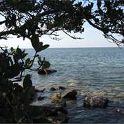 Terra Ceia Preserve State Park, Florida