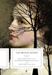 The Brontë Sisters: Three Novels (Emily, Charlotte and Anne Brontë)