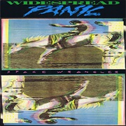 Widespread Panic - Space Wrangler (1988)