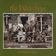 Fisherman&#39;s Blues - The Waterboys