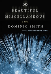 The Beautiful Miscellaneous (Dominic Smith)