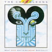 The Chameleons — What Does Anything Mean? Basically