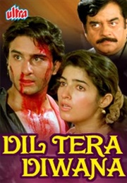 Dil Tere Diwana (1996)