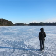 Walk on a Frozen Ocean