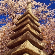 The Japanese Pagoda