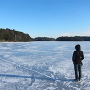 Walk on a Frozen Lake
