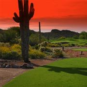 Golfing in Arizona