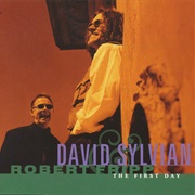 David Sylvian &amp; Robert Fripp - The First Day