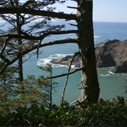 Oregon Coast Trail