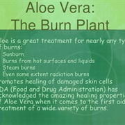 Aloe Vera for Burns