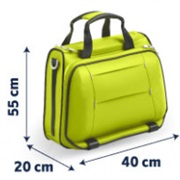 Traveler Luggage (Hand Luggage Only)