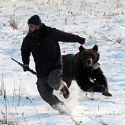 Chased by a Bear