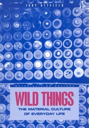 Wild Things: The Material Culture of Everyday Life (Judy Attfield)
