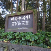 Halla Arboretum Jeju