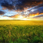 Watch Beautiful Prairie Skies (AB, SK, &amp; MB)