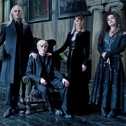 Harry Potter (The Malfoy Family)