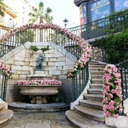 Visit Grasse, France During the International Rose Festival in May