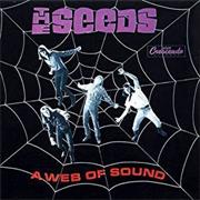 Seeds - A Web of Sound