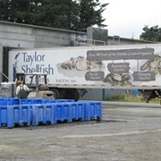 Taylor Shellfish Farm (Shelton, Washington)