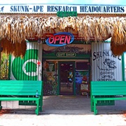 Skunk Ape Headquarters, Florida
