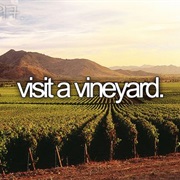 Visit a Vineyard