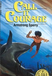 Call It Courage (Armstrong Sperry)