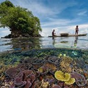 Papua New Guinea&#39;S Coral Reefs