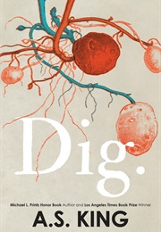 Dig (A.S. King)