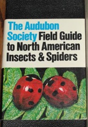 Audubon Society Field Guide to North American Insects and Spiders (Knopf)