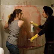 Sunshine Cleaning- Rose and Norah