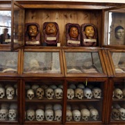 Lombrosp&#39;S Museum of Criminal Anthropology