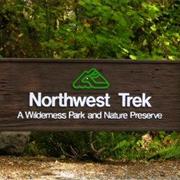 Northwest Trek Wildlife Park