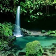 Emerald Pool, Morne Trois Pitons National Park, Dominica