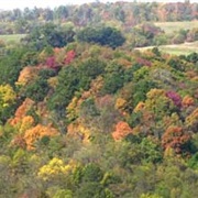 Fernwood State Forest, Ohio