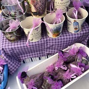 Lavender Fest Bulgaria