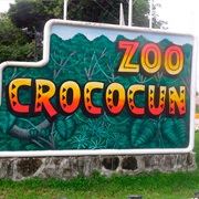 Crococun