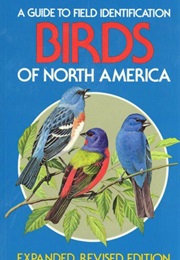 A Guide to Field Identification: Birds of North America (Robbins Bruun Zim Singer)