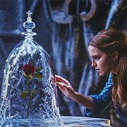 The Enchanted Rose - Beauty and the Beast