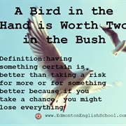 A Bird in the Hand Is Worth Two in the Bush