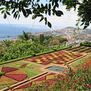 Jardim Botanico, Funchal
