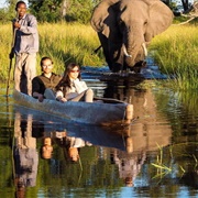 Mokoro Trips in the Okavango Delta