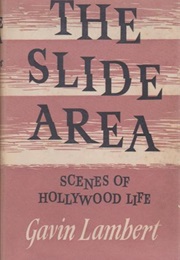 The Slide Area (Gavin Lambert)