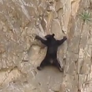 Cliff Climb Without Safety Gear