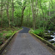 Roaring Forks Motor Nature Trail, Pigeon Forge, TN