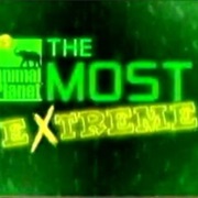 The Most Extreme - Animal Planet
