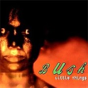 Little Things - Bush